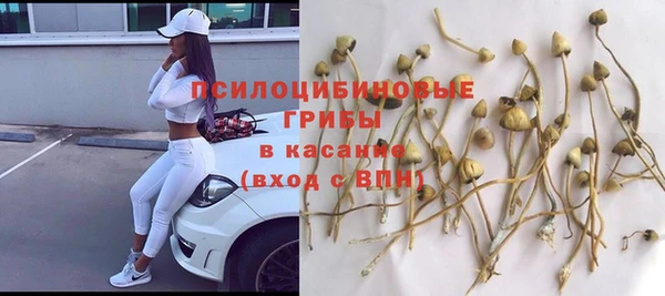 прущая мука Алексеевка