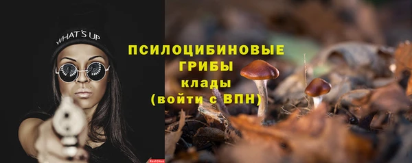 таблы Алзамай