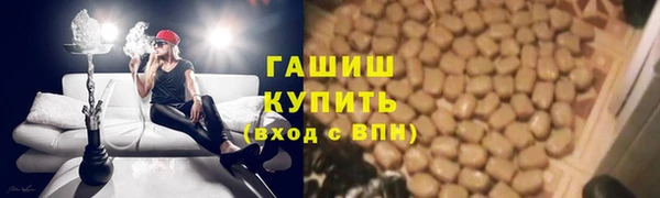СК Алексин