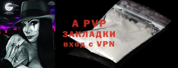 ECSTASY Магас