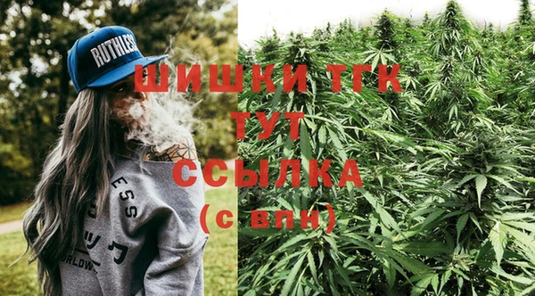 СК Алексин