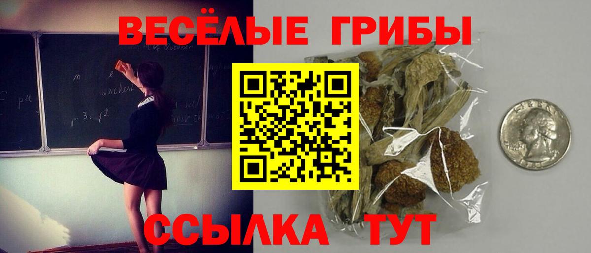 Первоуральск  наркотики  Вход с VPN  Псилоцибиновые грибы MAGIC MUSHROOMS 